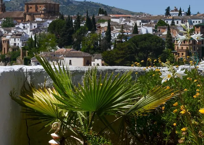 Appartement +private Garden +amazing View